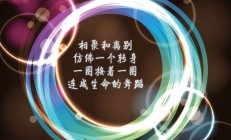 开云体育登录-当伊布在佛罗伦萨的暮色中拉满评分，一场没有法国的对阵与永恒的自我证明