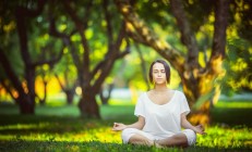 开云官网-德甲烽火与篮网锋芒，当欧洲足球的激情碰撞上篮球世界的碾压