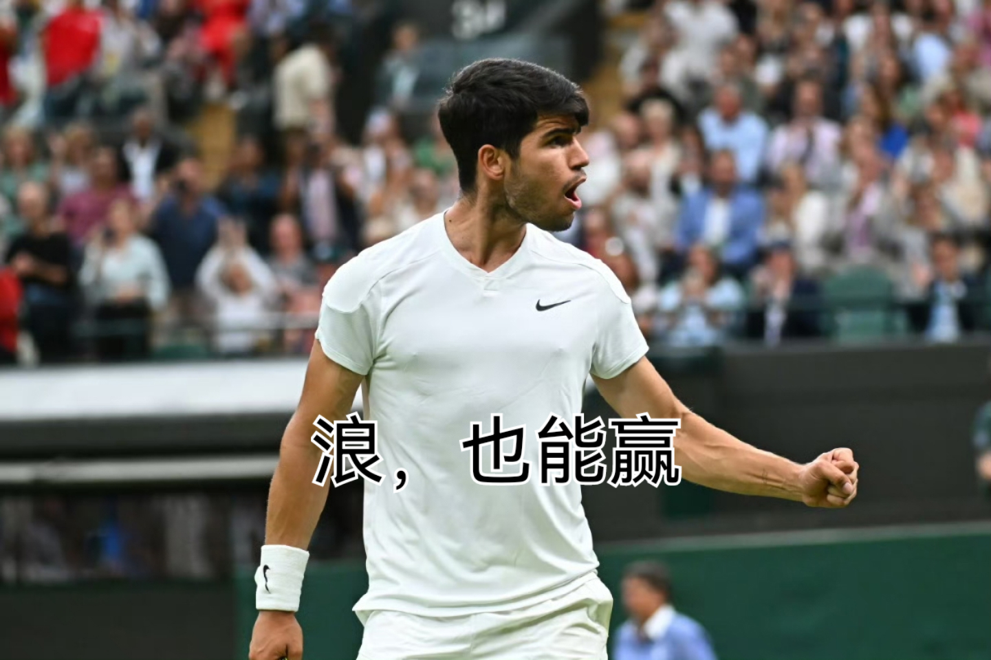 包含温网逆转戴维斯杯,阿尔卡拉斯扛起全队的词条 包含温网逆转戴维斯杯,阿尔卡拉斯扛起全队的词条