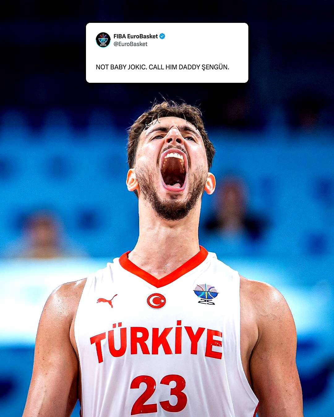 包含塞尔维亚队在比赛中表现抢眼，实现逆转胜利的词条