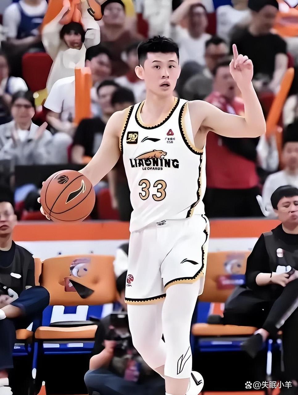 青岛队鏖战北京队，陶汉林点燃赛场的简单介绍