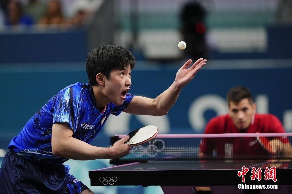 比利时乒乓球队横扫德国乒乓球队，张本智和送出助攻的简单介绍