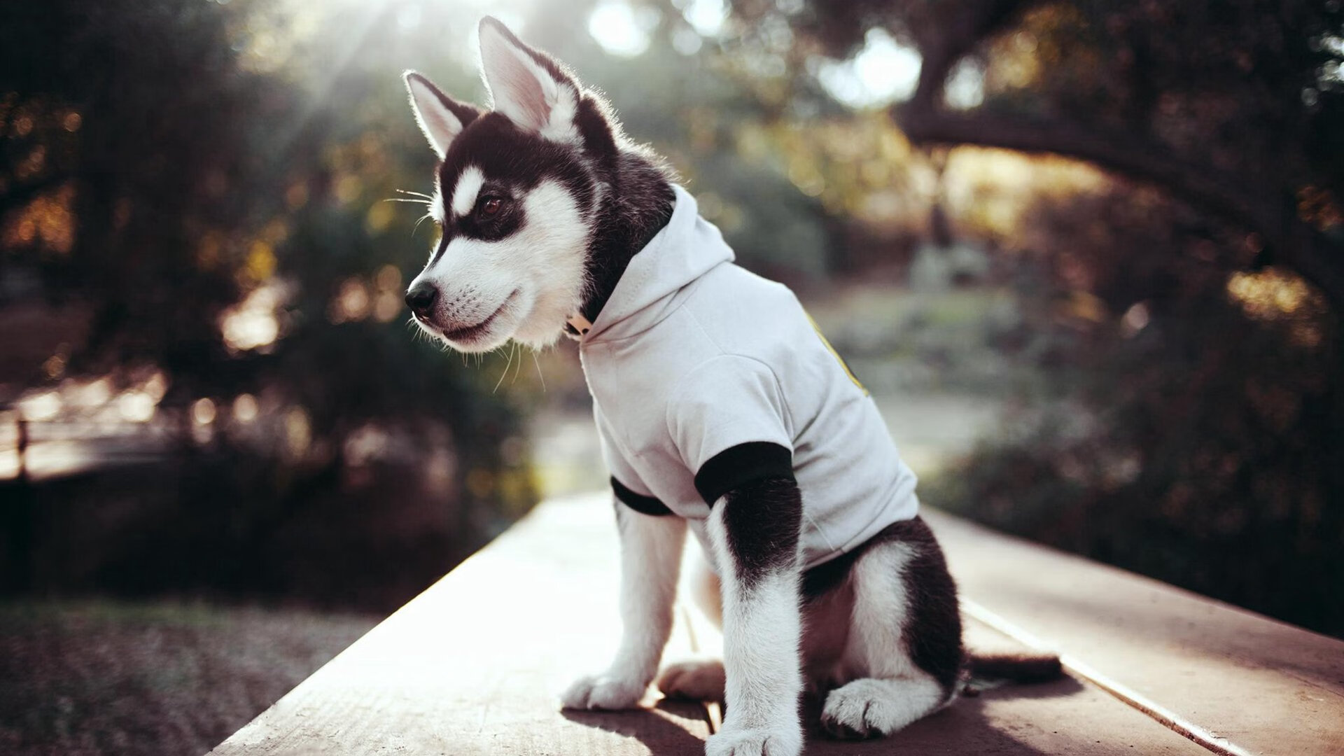 曼城末节风暴席卷威尔士，奥纳纳一锤定音化身关键先生