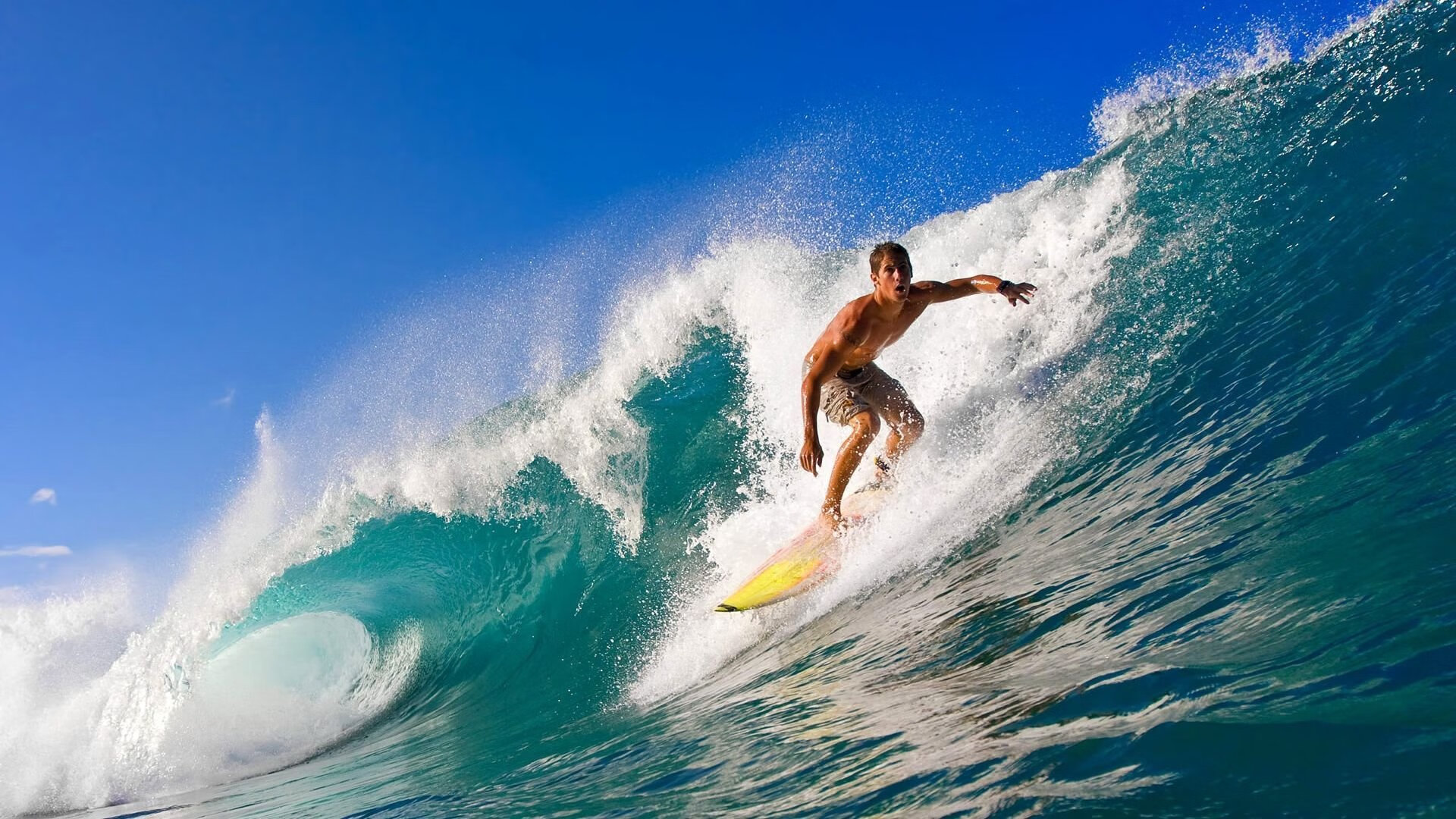 富安健洋的破茧之战，爱尔兰对阵喀麦隆背后的压力与爆发